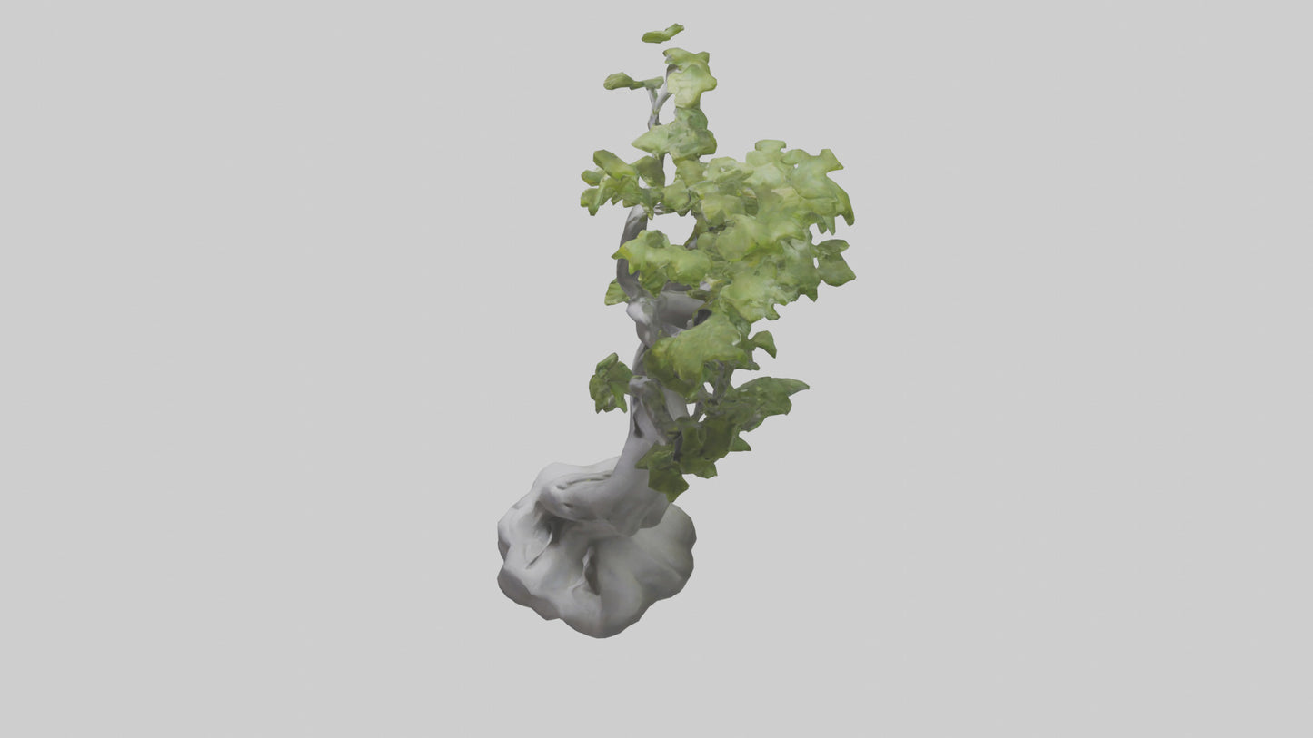 Organically Grown Sculpture statue model 3D model