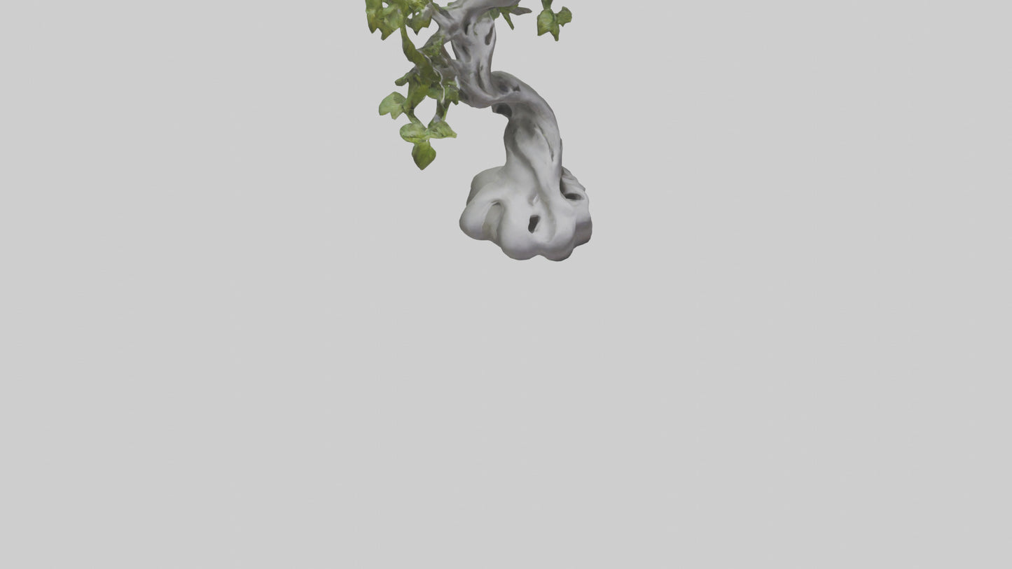 Organically Grown Sculpture statue model 3D model