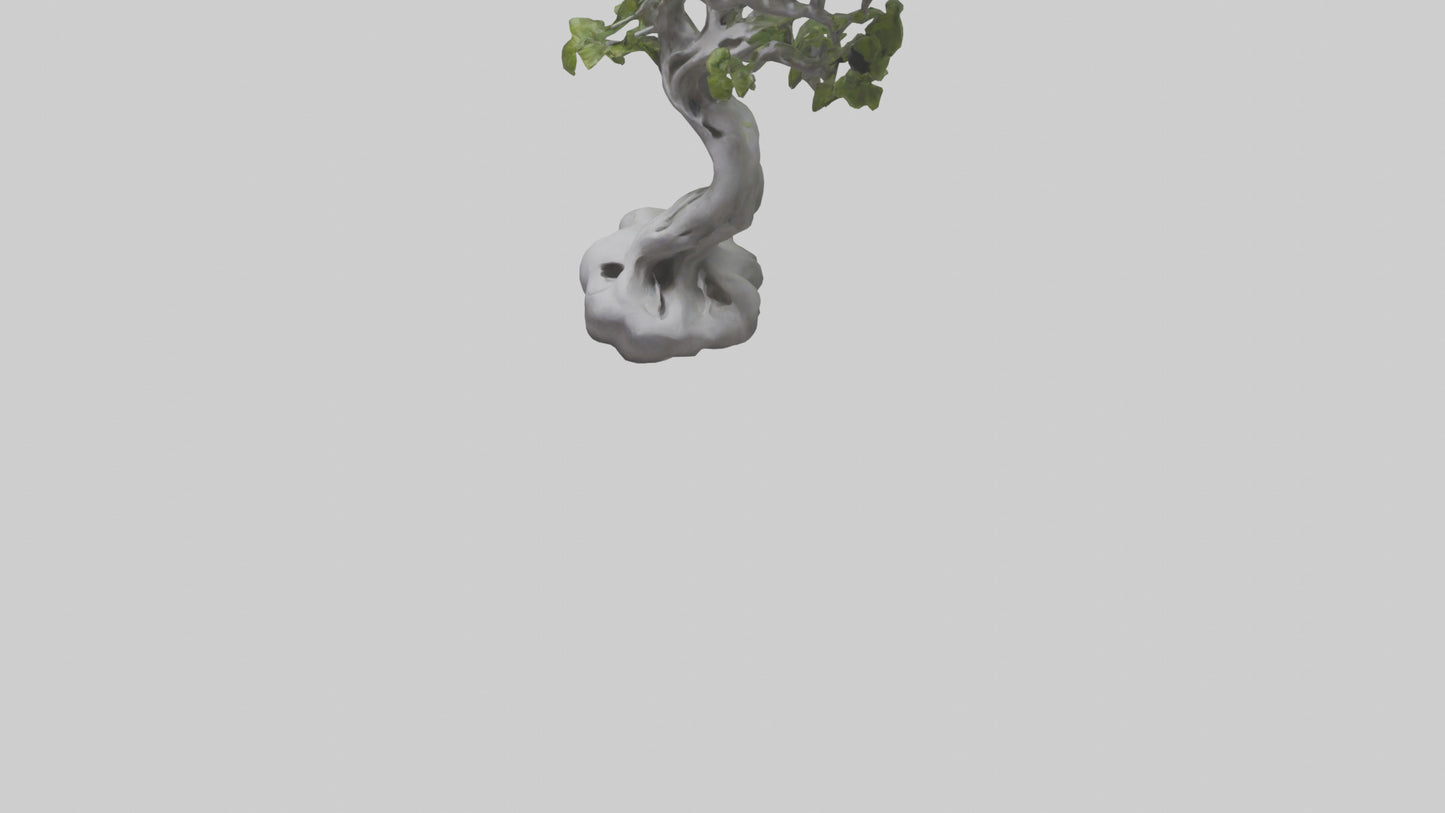 Organically Grown Sculpture statue model 3D model