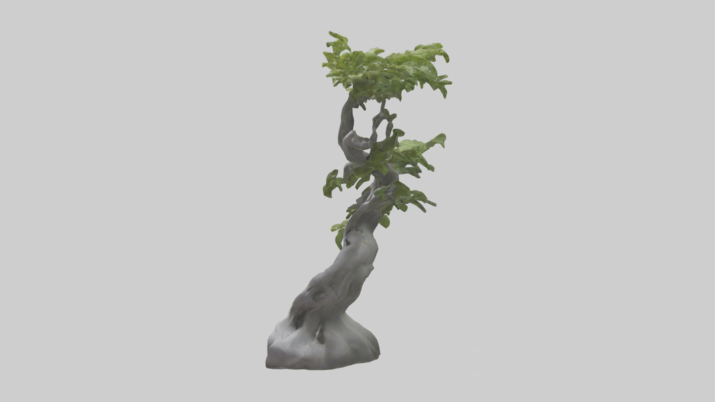 Organically Grown Sculpture statue model 3D model