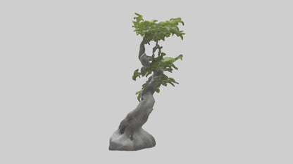 Organically Grown Sculpture statue model 3D model