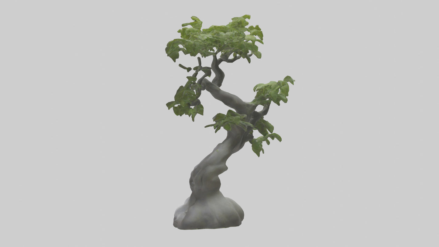 Organically Grown Sculpture statue model 3D model
