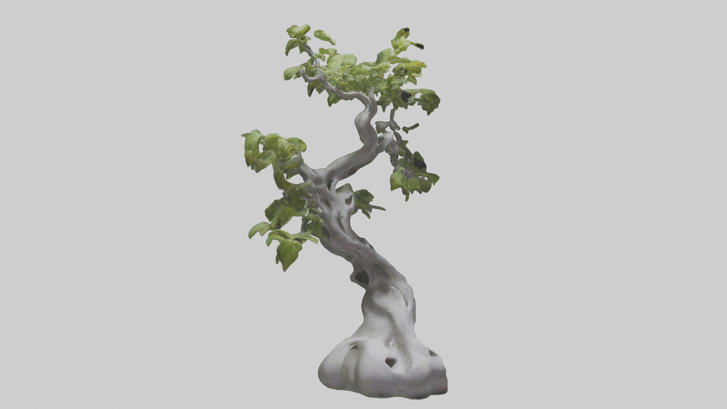 Organically Grown Sculpture statue model 3D model