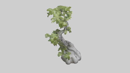 Organically Grown Sculpture statue model 3D model