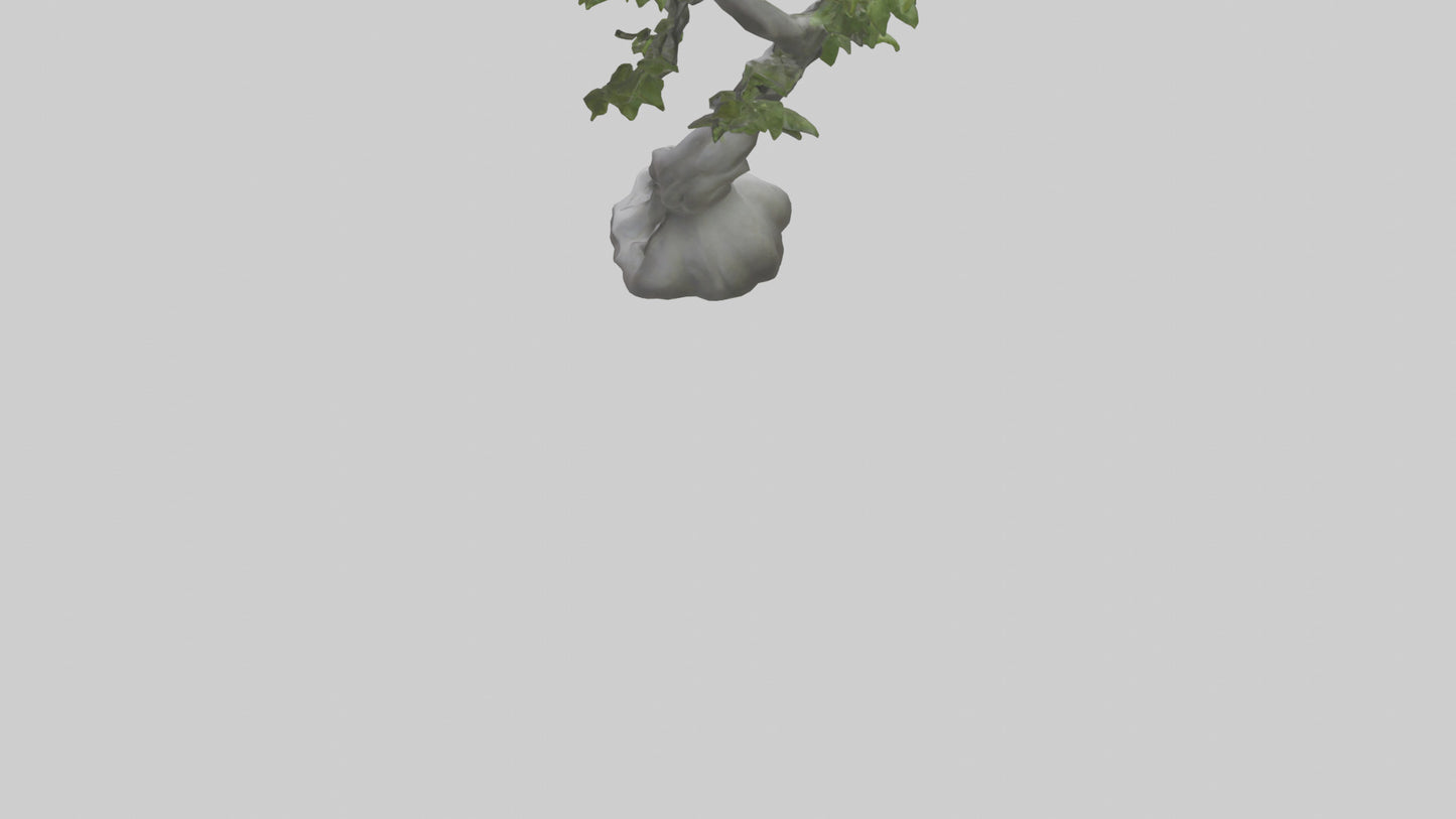 Organically Grown Sculpture statue model 3D model