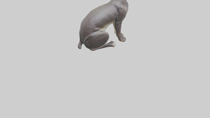 Oriental Shorthair statue model 3D model
