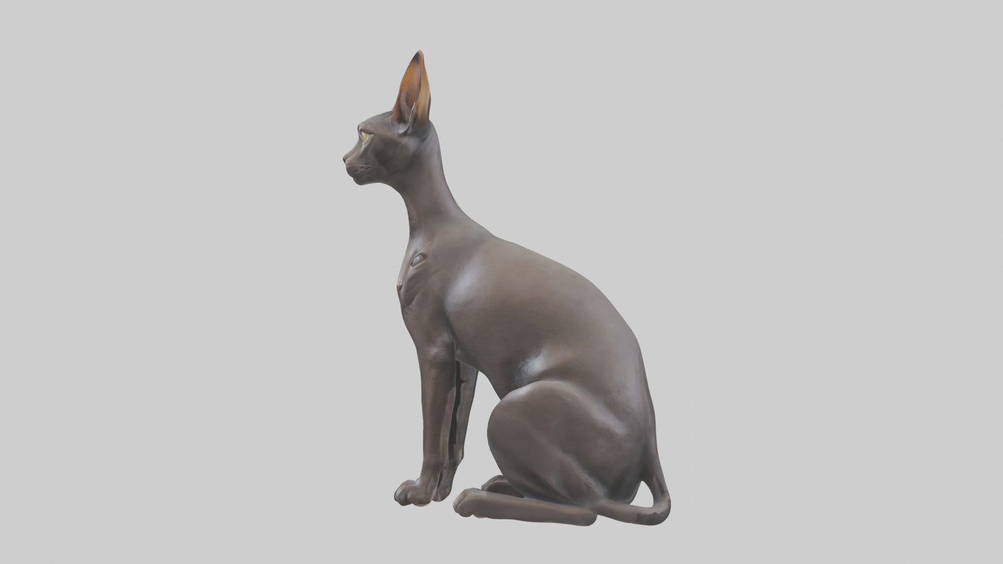 Oriental Shorthair statue model 3D model