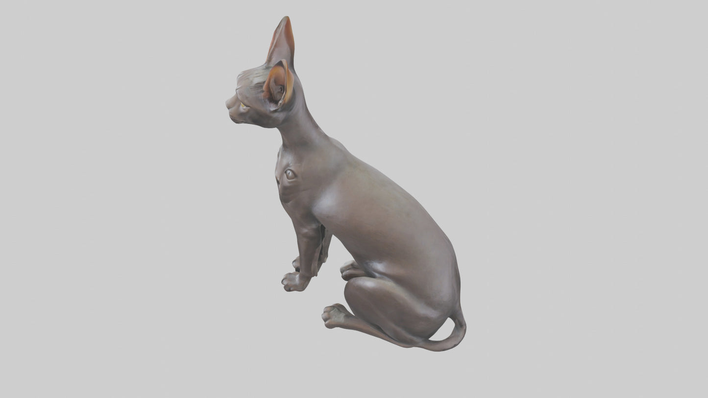 Oriental Shorthair statue model 3D model