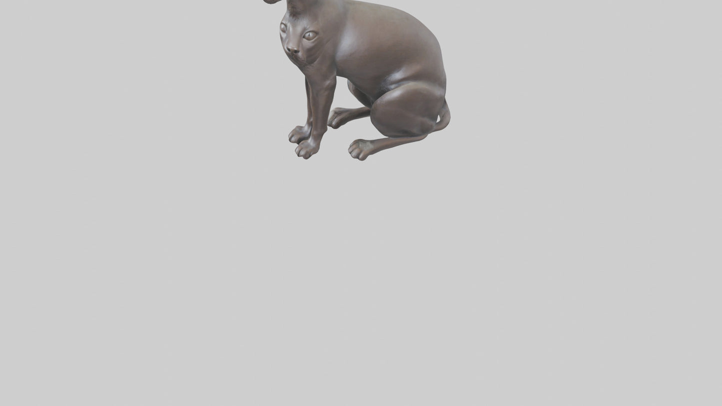 Oriental Shorthair statue model 3D model