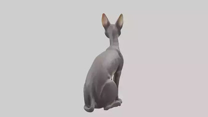 Oriental Shorthair statue model 3D model