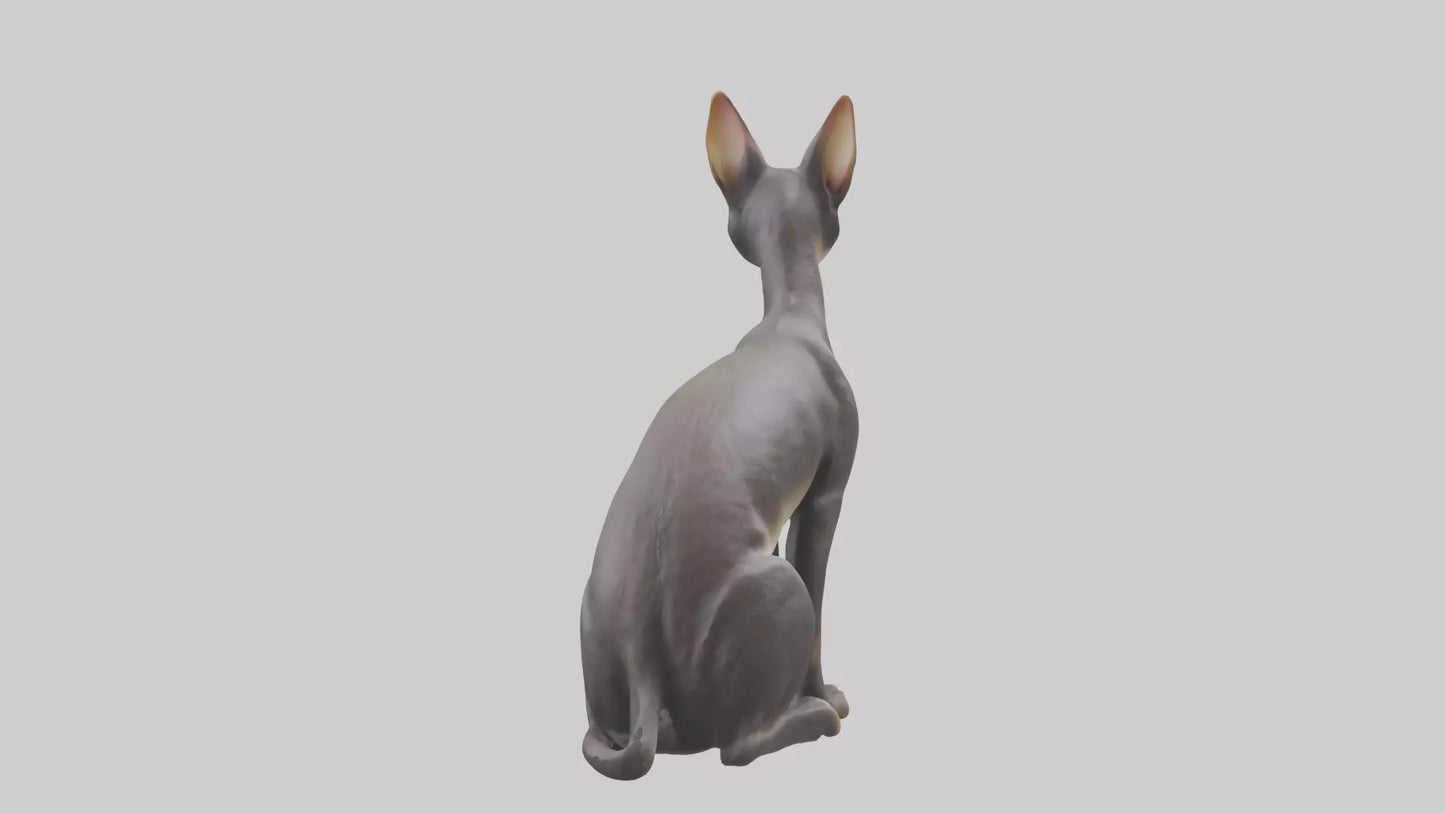 Oriental Shorthair statue model 3D model