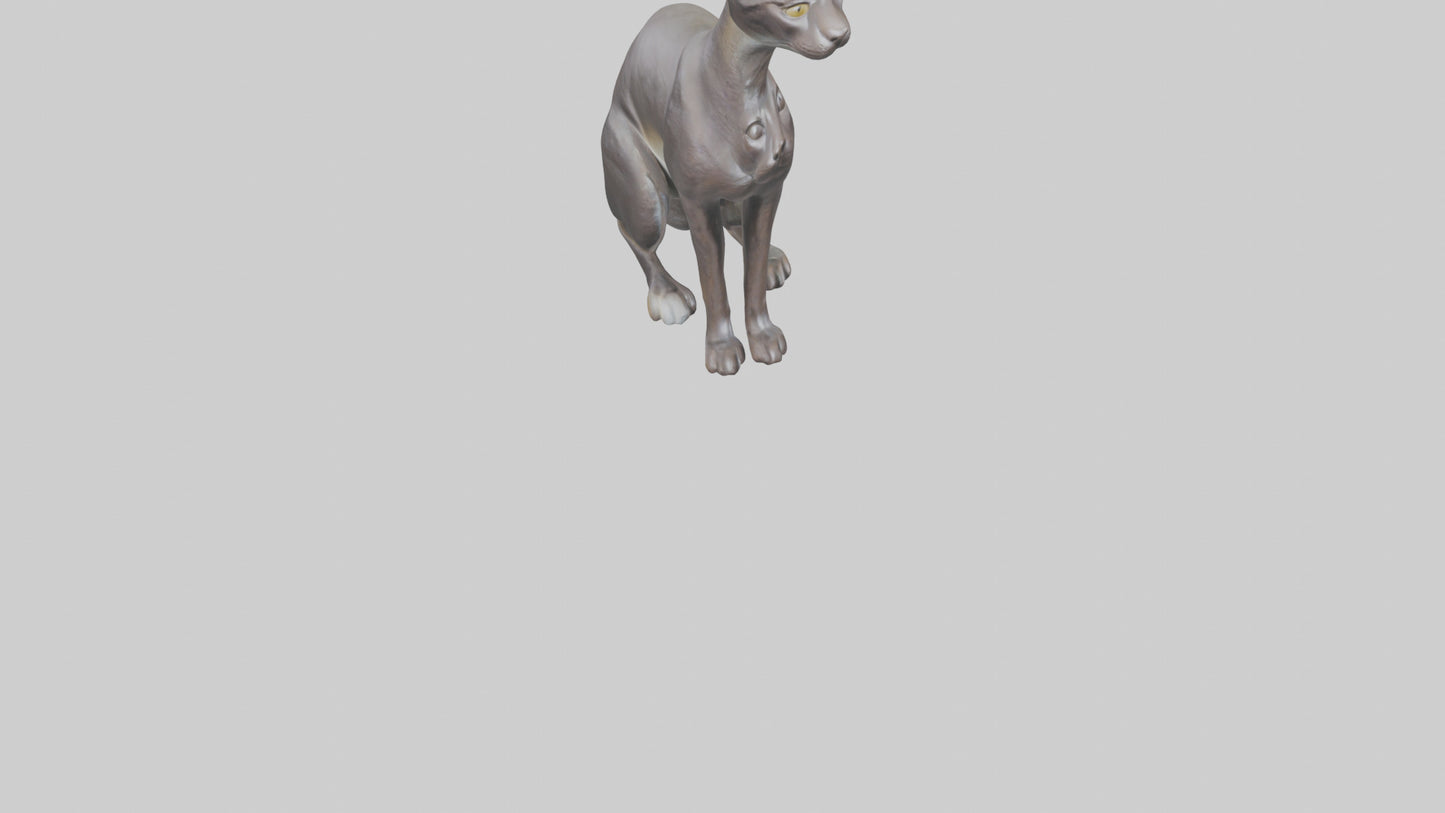 Oriental Shorthair statue model 3D model