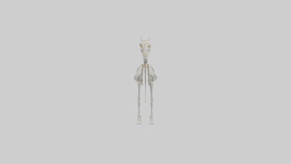 3D model orse Skeleton model VR / AR / low-poly