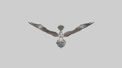 Osprey catching fish model 3D model