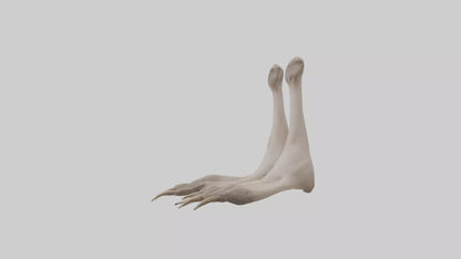 Ostrich Feet Model 3D model