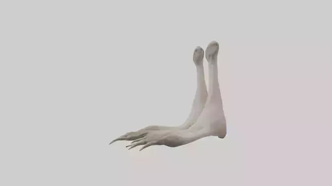 Ostrich Feet Model 3D model