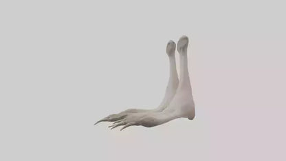 Ostrich Feet Model 3D model