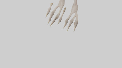 Ostrich Feet Model 3D model