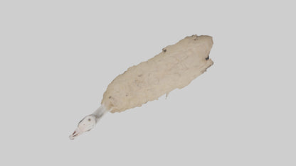 Ostrich Legs Model 3D model