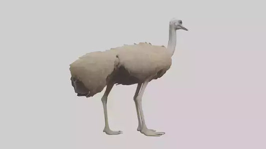 Ostrich Legs Model 3D model