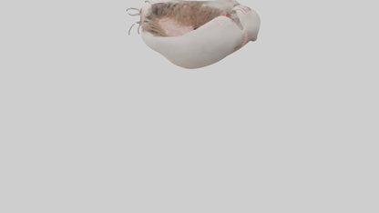 3D model Ostrich Stomach VR / AR / low-poly