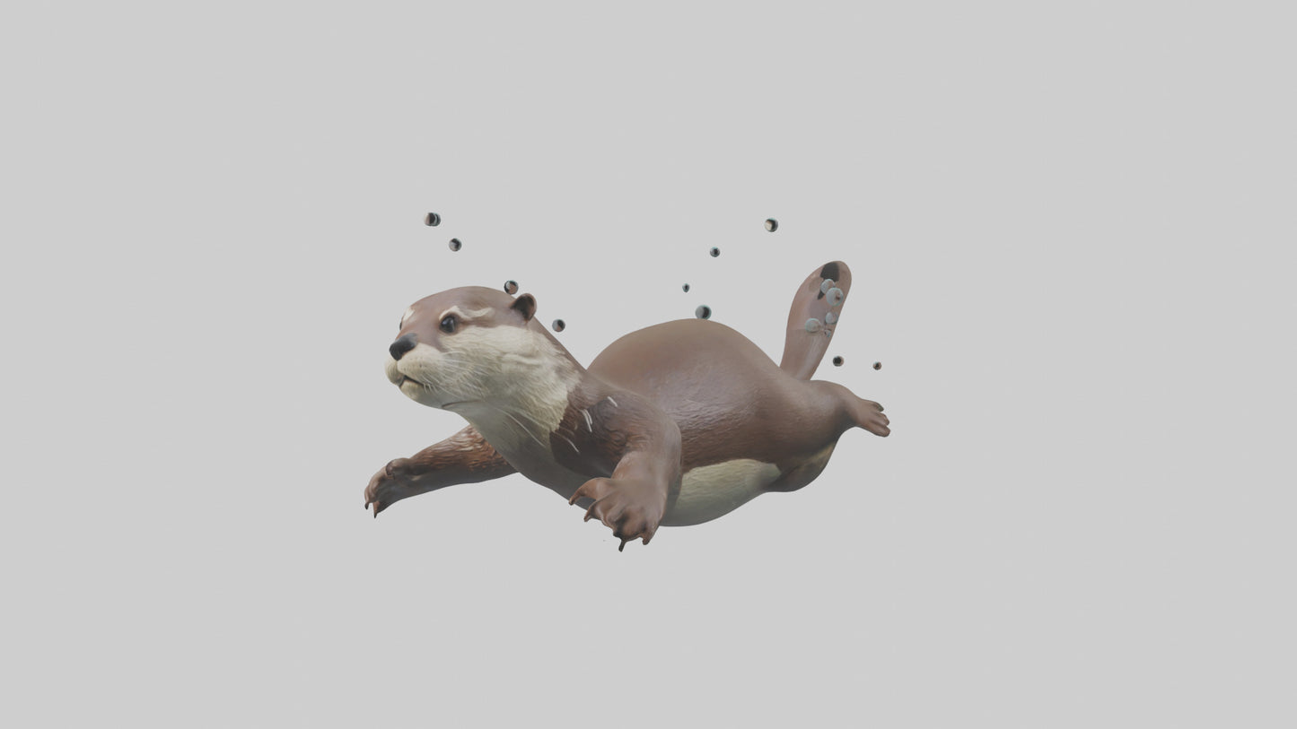 Otter diving model 3D model