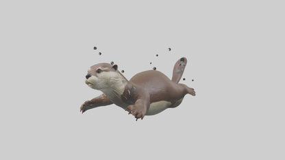 Otter diving model 3D model