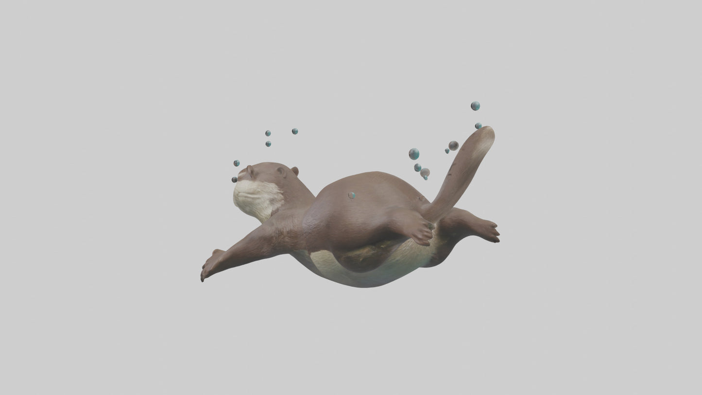 Otter diving model 3D model