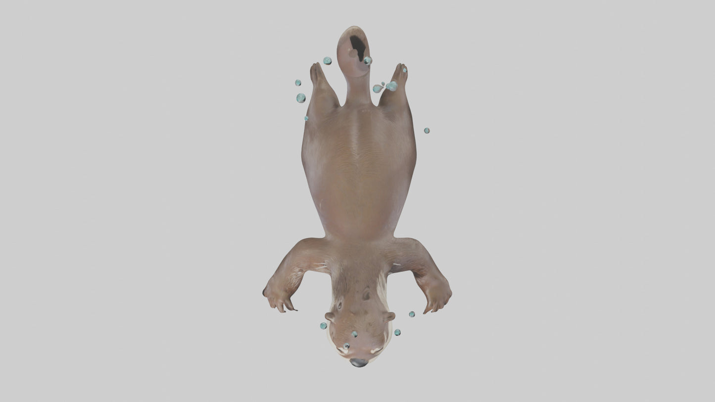 Otter diving model 3D model