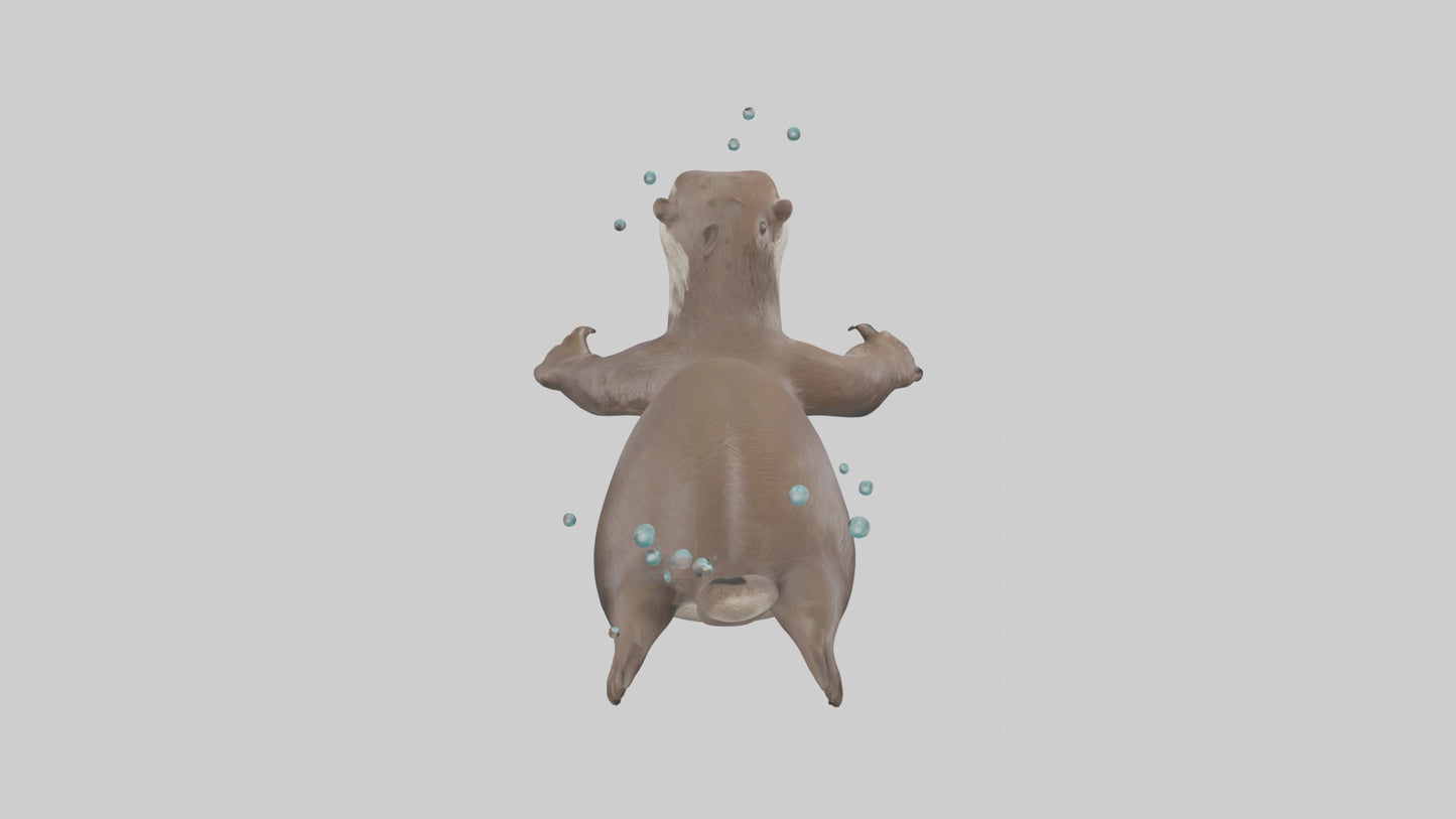 Otter diving model 3D model