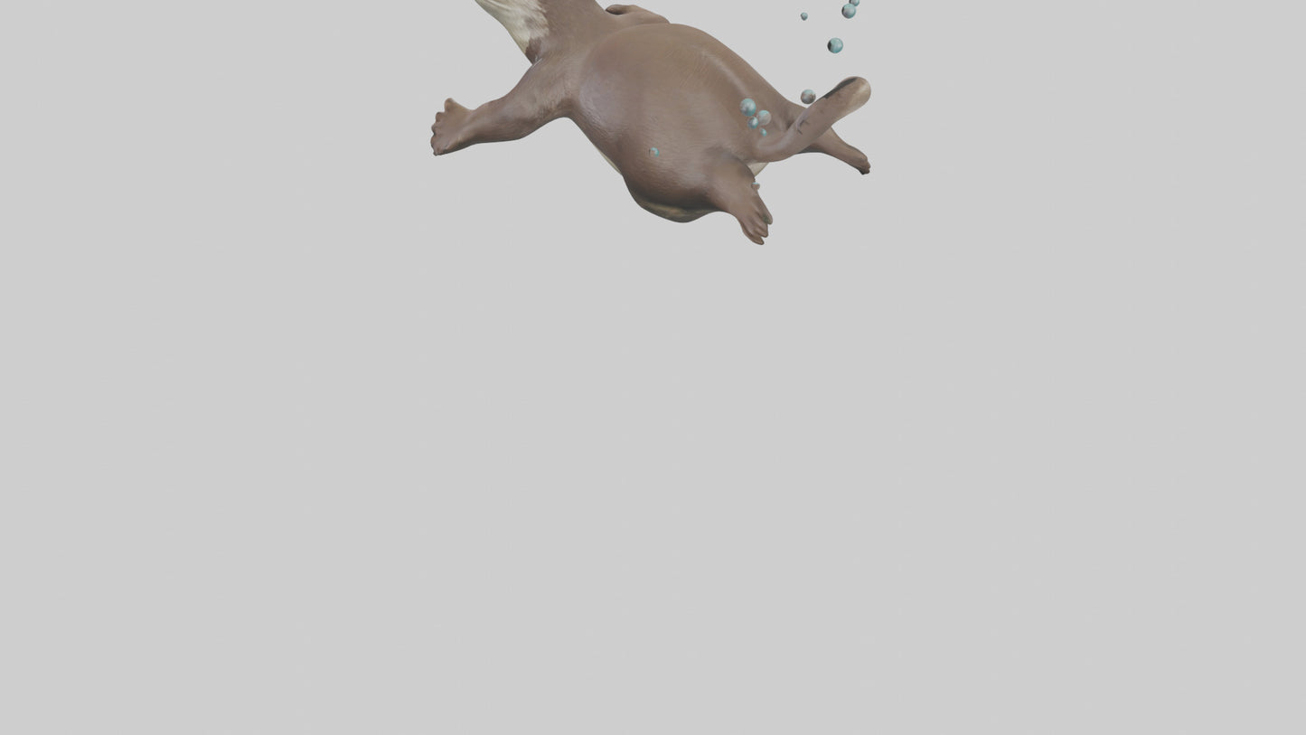 Otter diving model 3D model