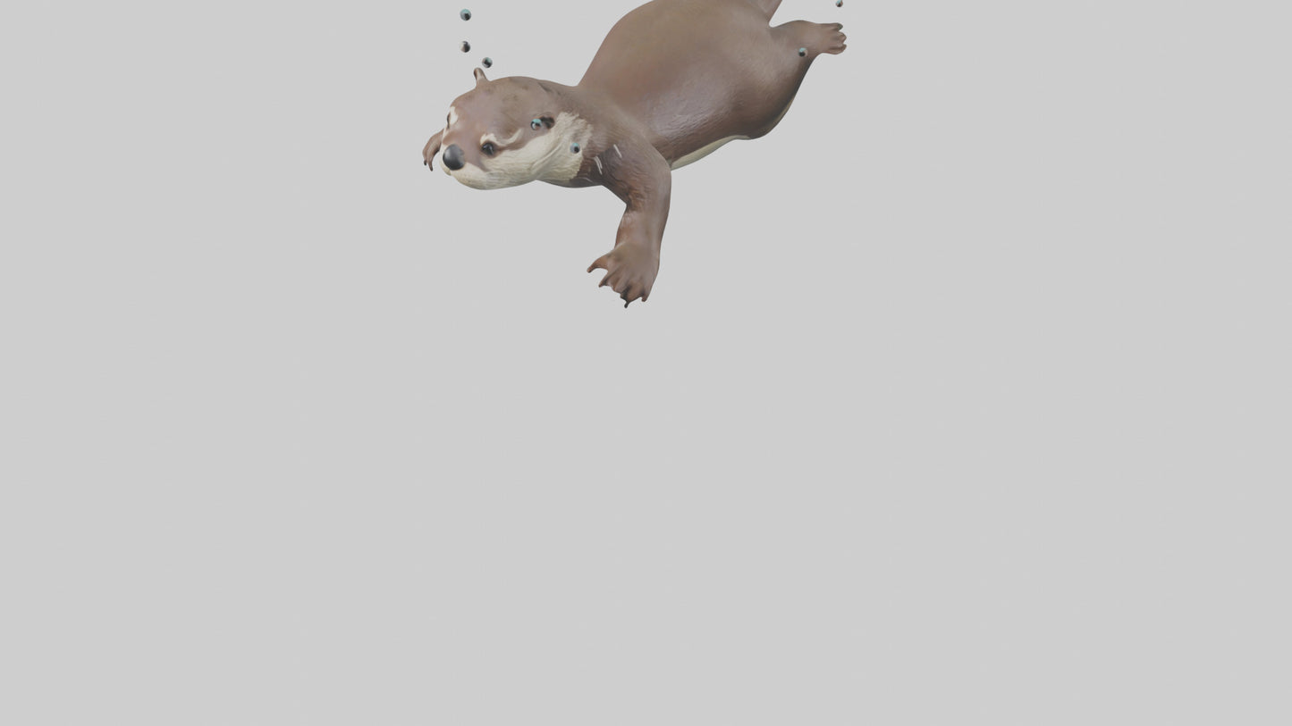 Otter diving model 3D model