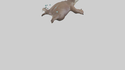 Otter diving model 3D model