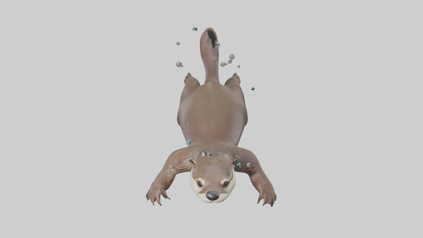 Otter diving model 3D model