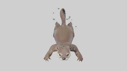 Otter diving model 3D model