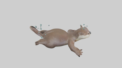 Otter diving model 3D model