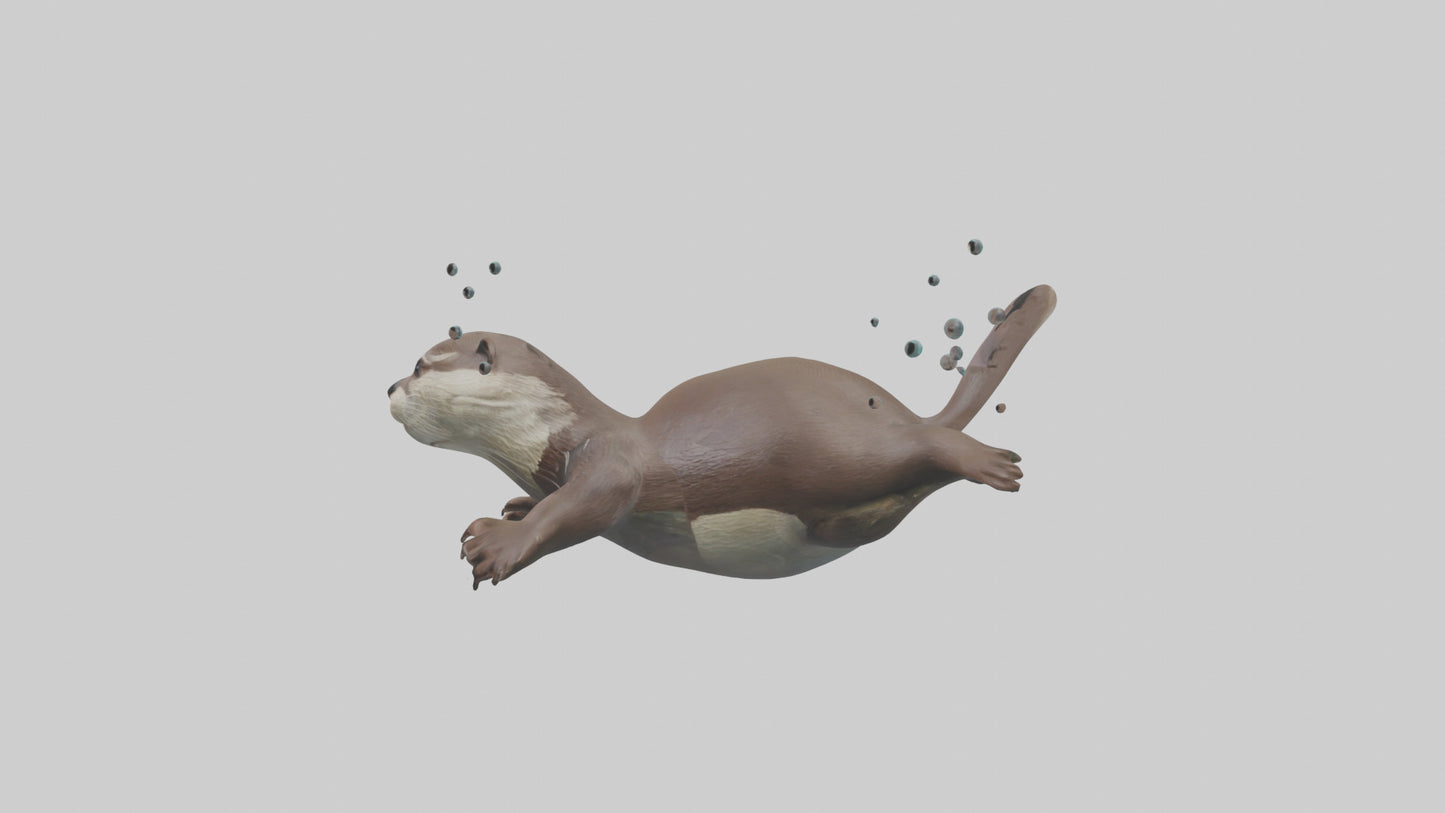 Otter diving model 3D model
