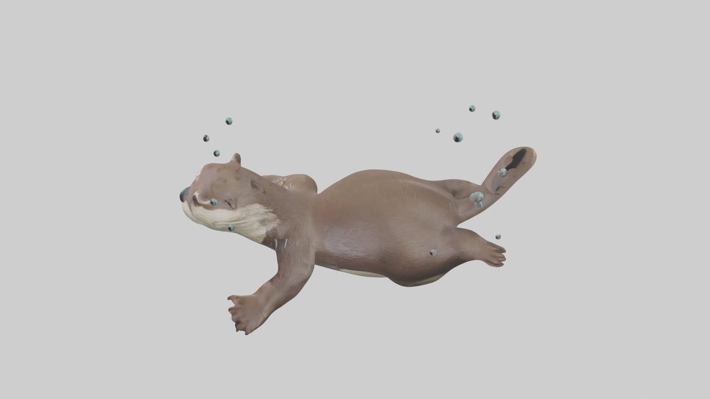 Otter diving model 3D model