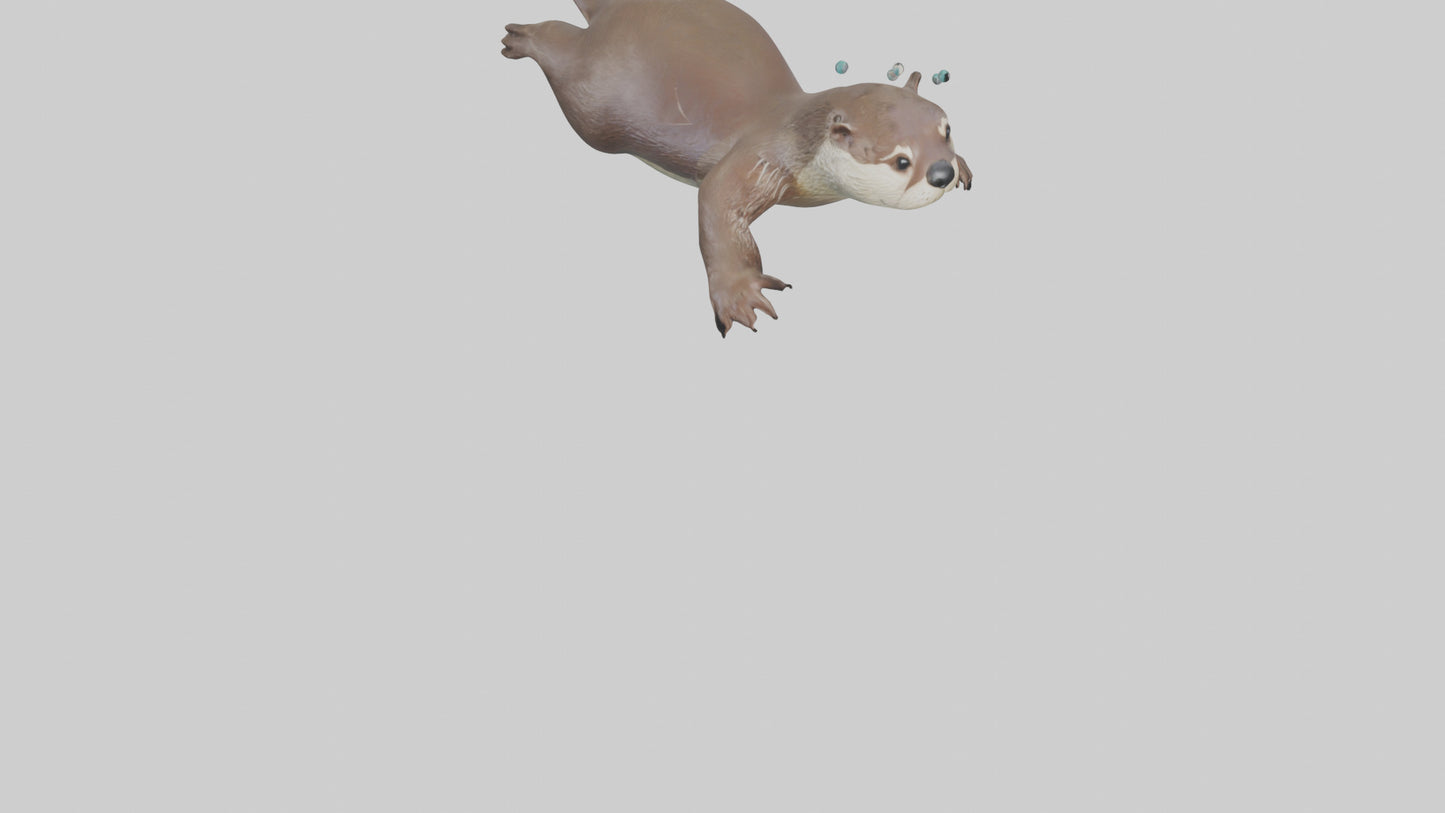 Otter diving model 3D model
