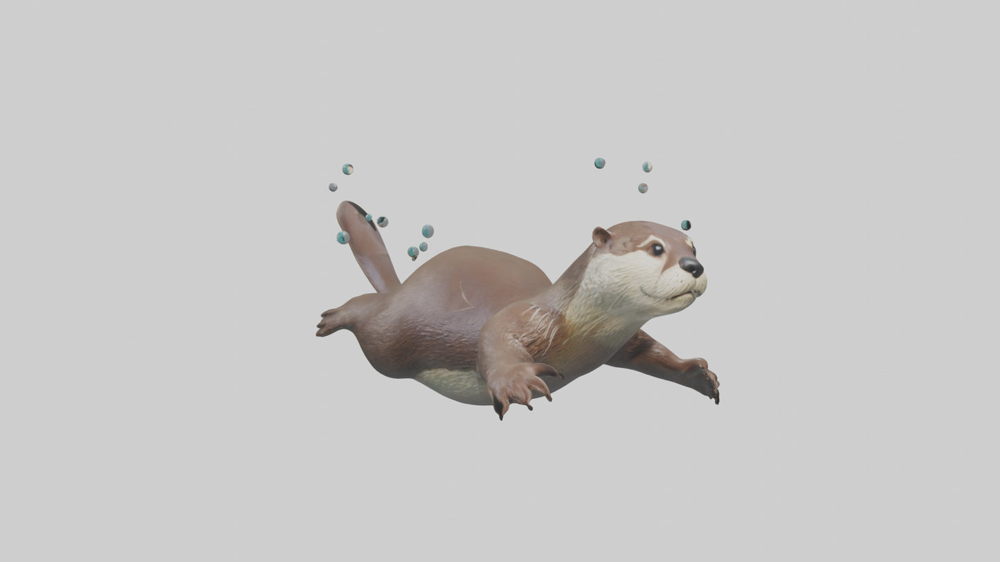 Otter diving model 3D model