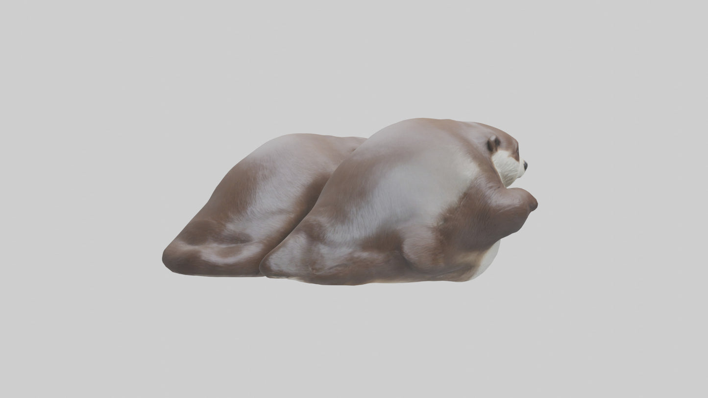 Otter holding hands model VR / AR / low-poly