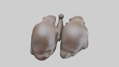 Otter holding hands model VR / AR / low-poly