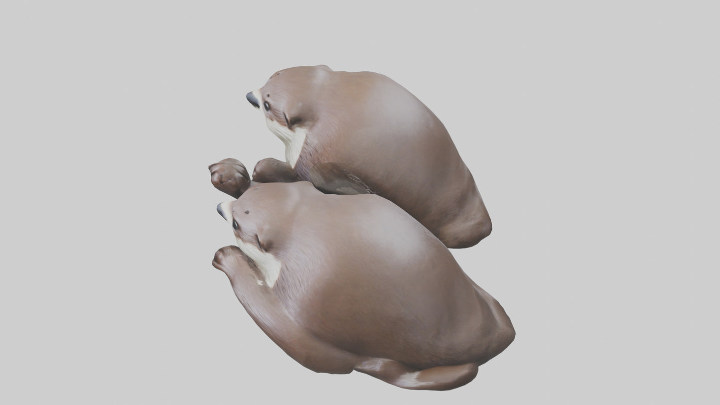 Otter holding hands model VR / AR / low-poly