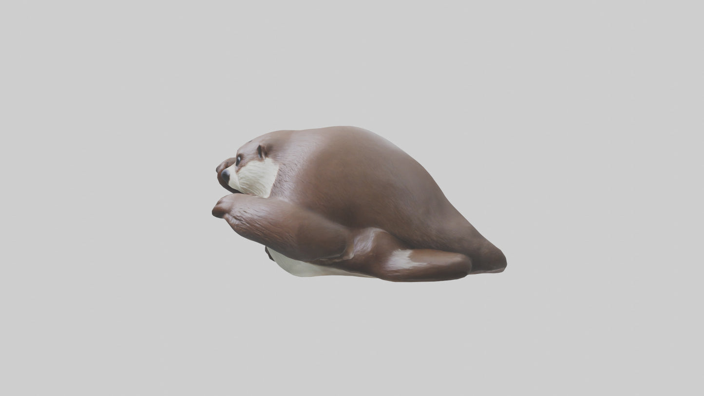 Otter holding hands model VR / AR / low-poly