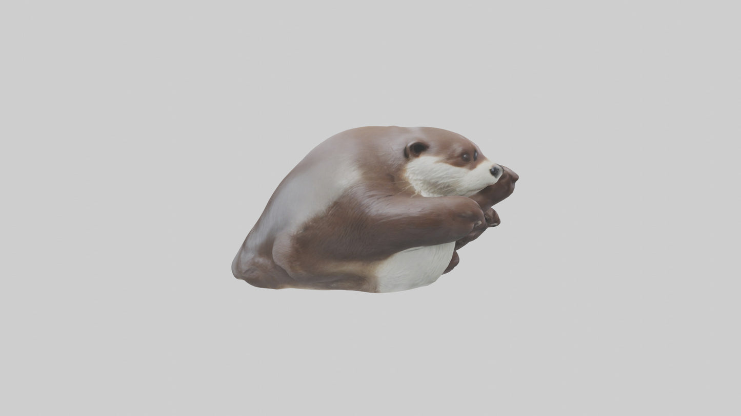 Otter holding hands model VR / AR / low-poly