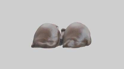 Otter holding hands model VR / AR / low-poly