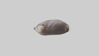 Otter Nose VR / AR / low-poly