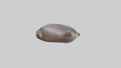 Otter Nose VR / AR / low-poly