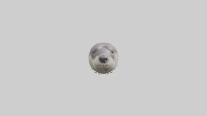 Otter Nose VR / AR / low-poly