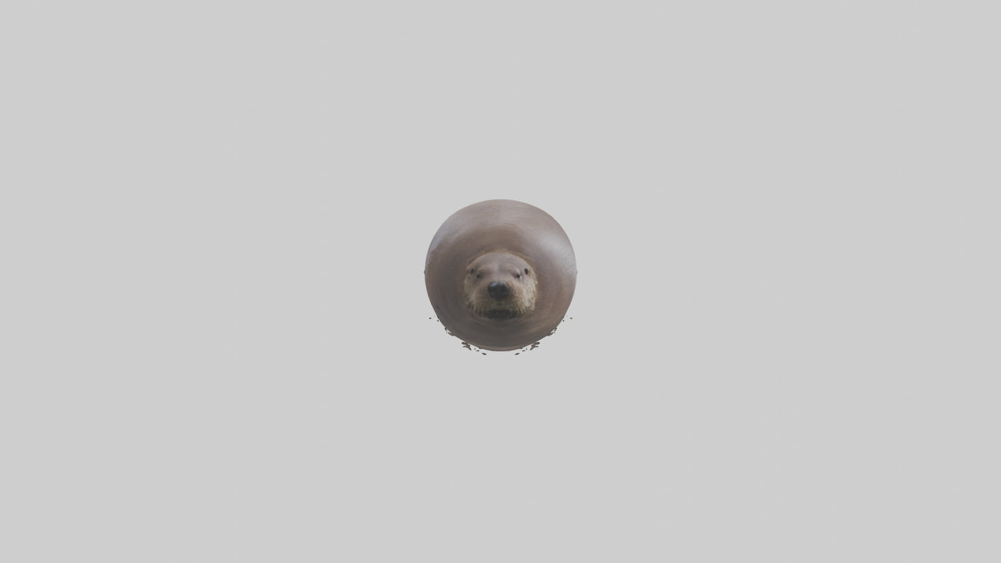 Otter Nose VR / AR / low-poly